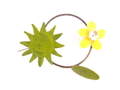 Broche_fleur_jaune_claudine_vitry_2